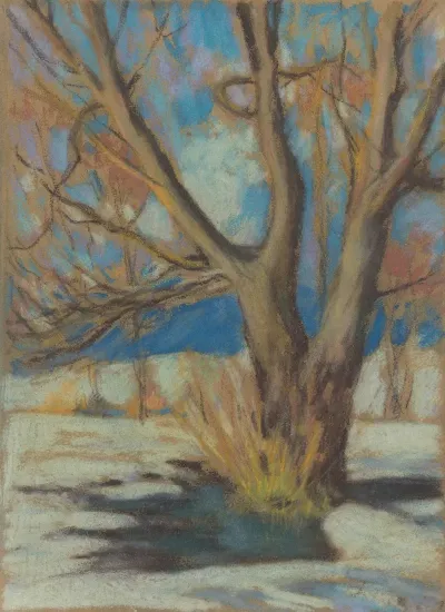 Study Of A Bare Tree In The Winter