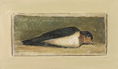 Study Of A Dead Swallow