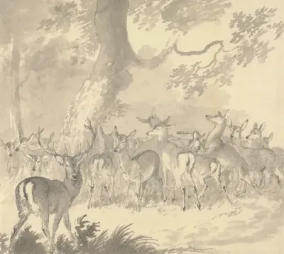 Study Of A Deer Stag In Foreground With A Group Of Does And Fawns Under A Tree