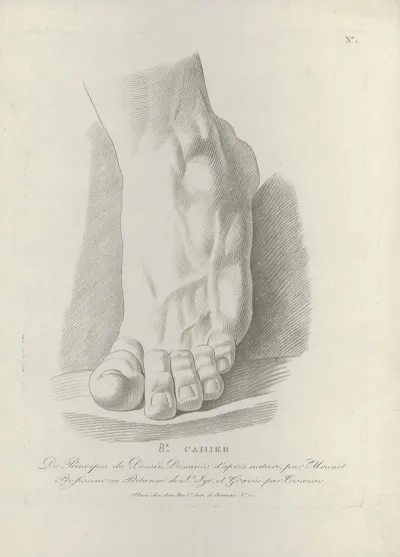 Study Of A Foot 3
