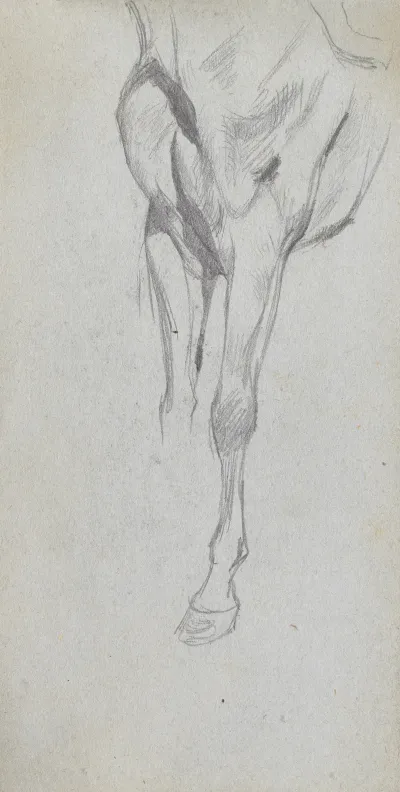 Study Of A Horse 4 2