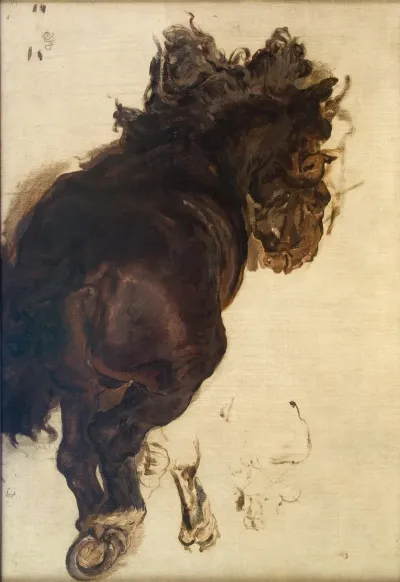 Study Of A Reciining Horse