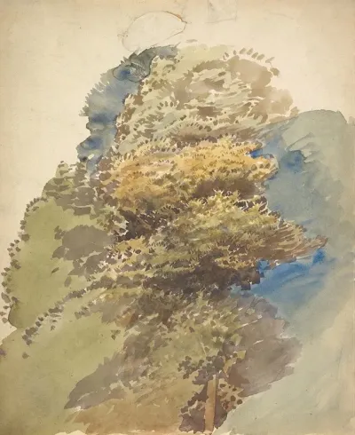 Study Of A Tree 7