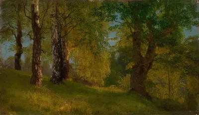Study Of A Wood