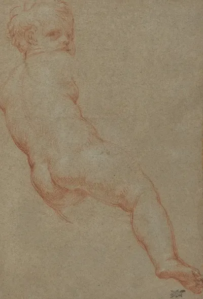 Study Of A Young Boy