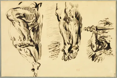 Study Of Arms And Legs Of Christ Crucified