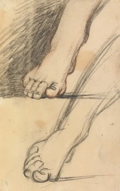 Study Of Feet