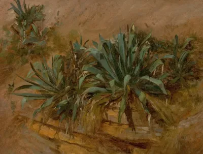 Study Of Plants On A Rocky Wall