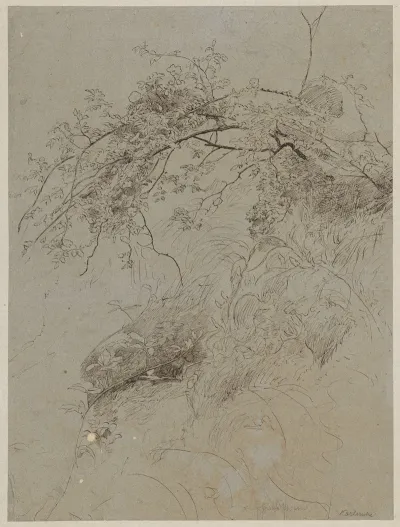Study Of Scrubs In The Vicinity Of Karlsruhe