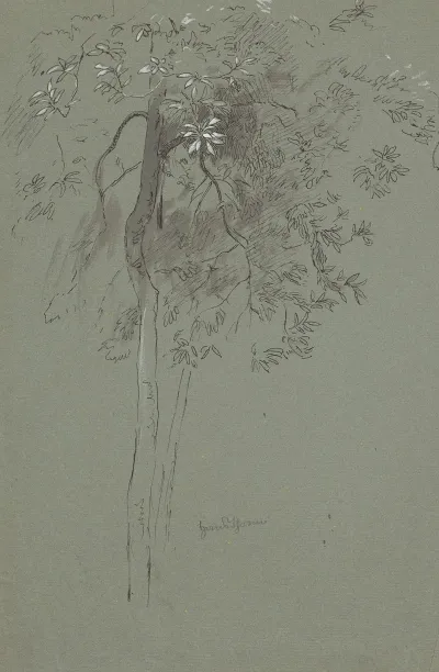 Study Of Two Trees