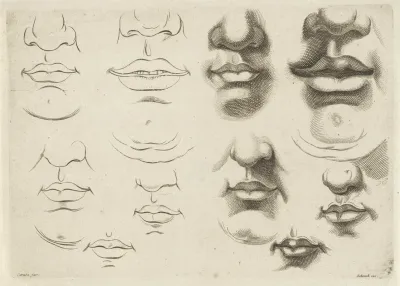 Study Of Various Mouths