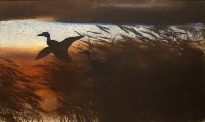 Summer Night Ducks Lifting Off