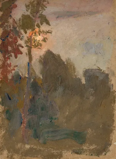 Sunset In A Forest