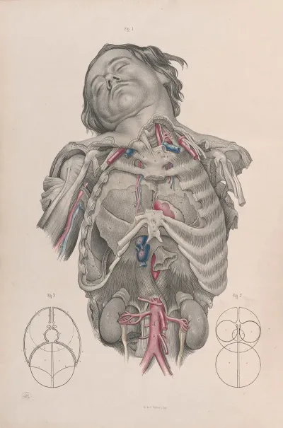 Surgical Anatomy Pl 01
