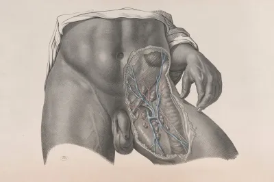 Surgical Anatomy Pl 26
