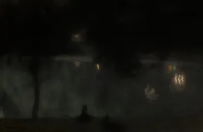 Swans In The Saski Garden At Night