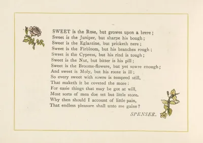 Sweet Is The Rose But Growes Upon A Brere