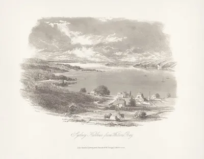 Sydney Harbour From Watsons Bay