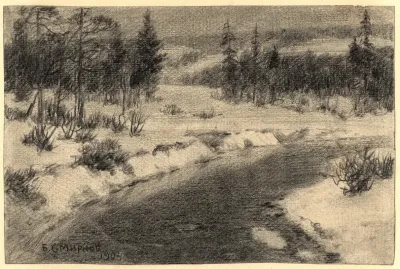 Taiga In The Krasnoyarsk Region