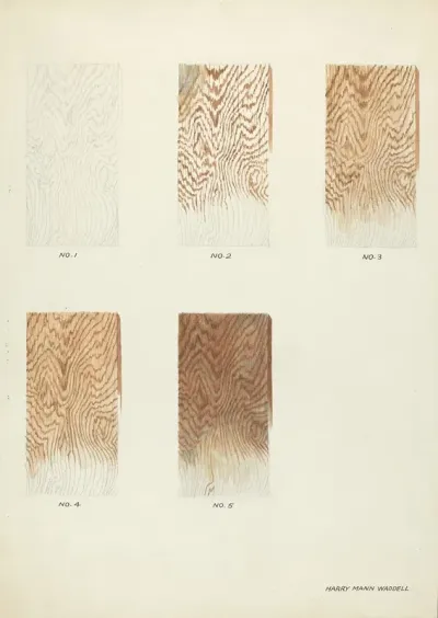 Technique Demo Wood Grain 3