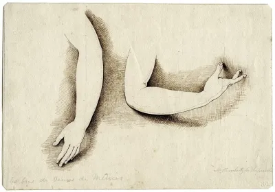The Arms Of The Venus De Medici