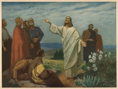 The Birds Of The Air And The Lilies Of The Field