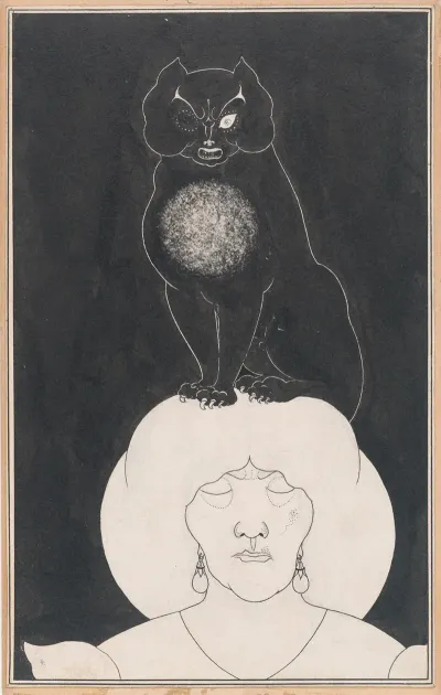 The Black Cat For Edgar Allan Poes Tales Of Mystery And The Imagination
