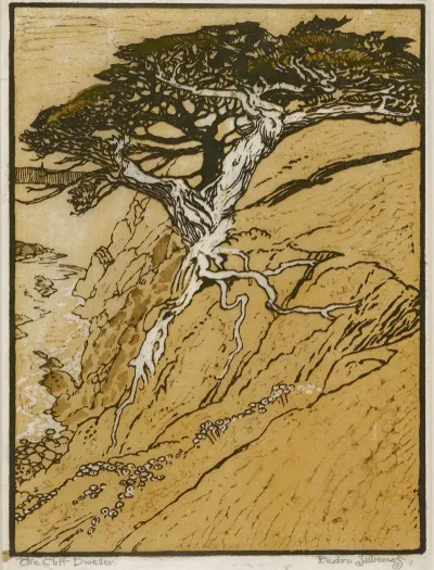 The Cliff Dweller