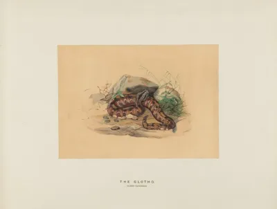 The Clotho 2