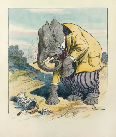 The Clumsy Elephant