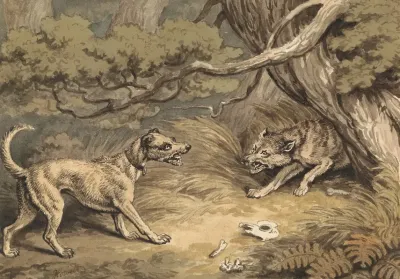 The Dog And The Wolf 2