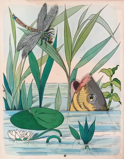 The Dragon Fly