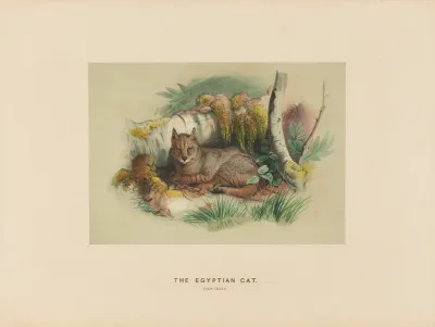 The Egyptian Cat 2