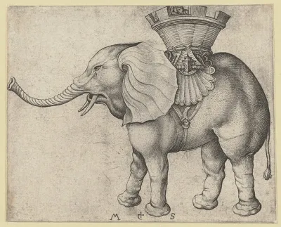 The Elephant 3