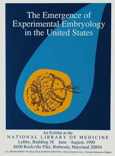 The Emergence Of Experimental Embryology In The United States