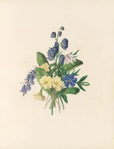 The Fete Of The Flowers Pl 06