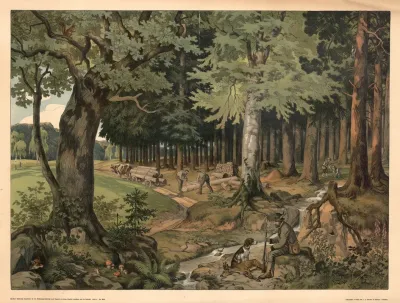 The Forest 3