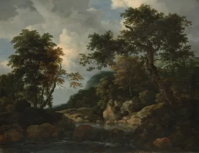 The Forest Stream