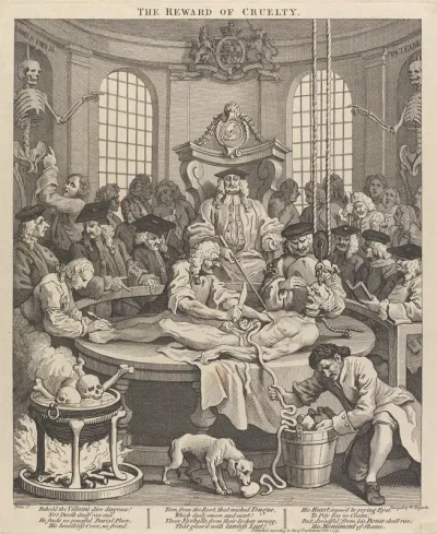 The Four Stages Of Cruelty The Reward Of Cruelty Anatomy Theatre