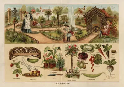 The Garden 6