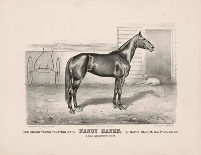 The Grand Young Trotting Mare Nancy Hanks By Happy Medium Dam By Dictator