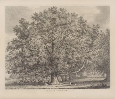 The Great Ash At Woburn