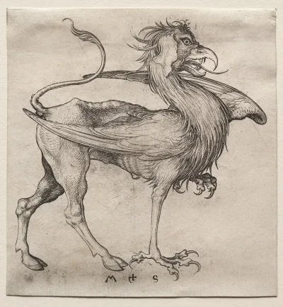 The Griffin