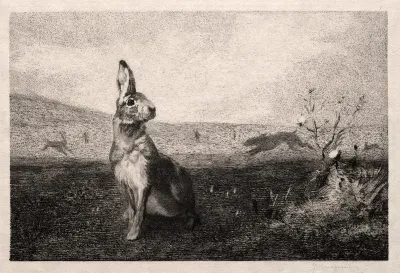 The Hare After A De Balleroy