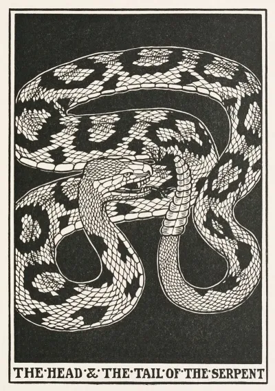 The Head And The Tail Of The Serpent