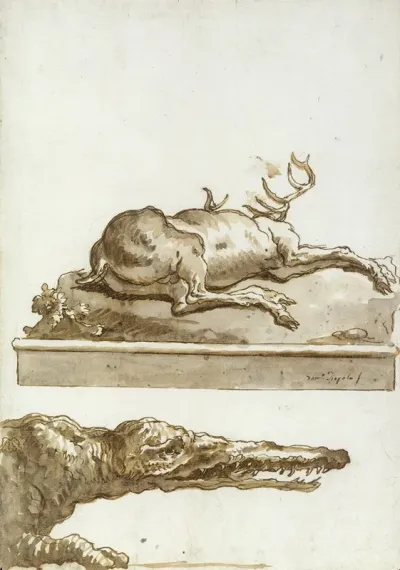 The Head Of A Crocodile
