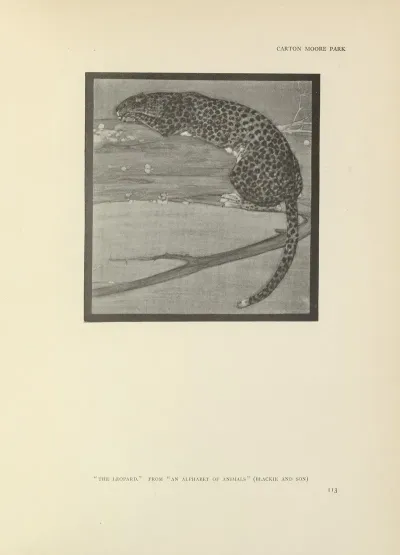 The Leopard An Alphabet Of Animals