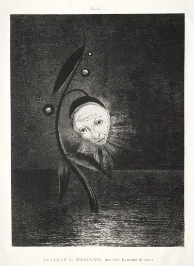 The Marsh Flower A Sad Human Head 2