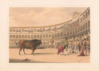 The Matador