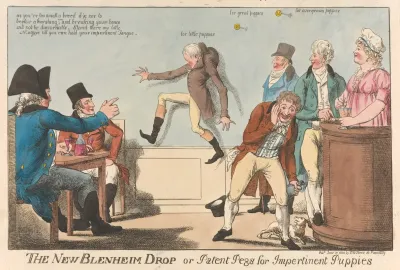 The New Blenheim Drop Or Patent Pegs For Impertinent Puppies
